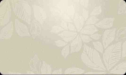 簽證留學(xué)翻譯